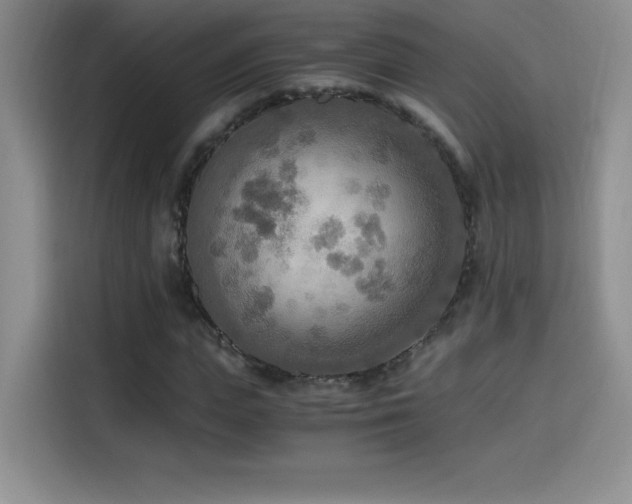 X0000114500823200910191249