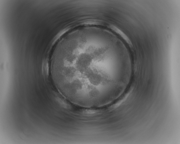 X0000114500829200910191249