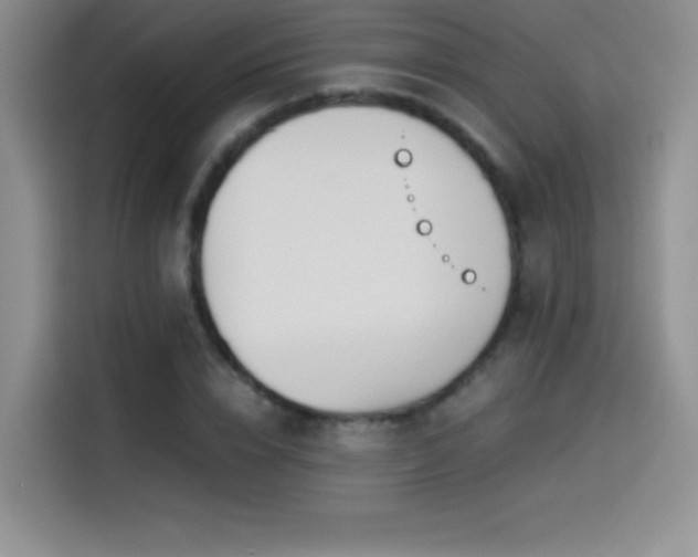 X0000114500832200910191249
