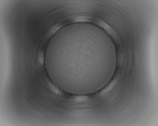 X0000114500833200910191249
