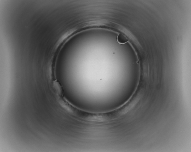 X0000114500834200910191249