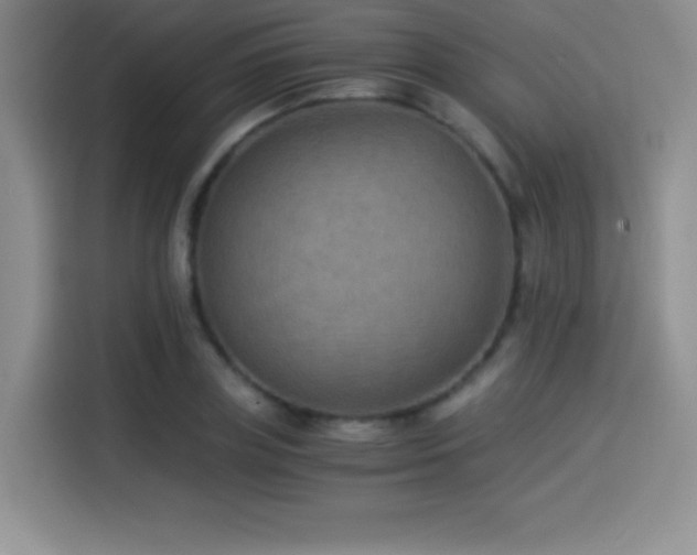 X0000114500835200910191249