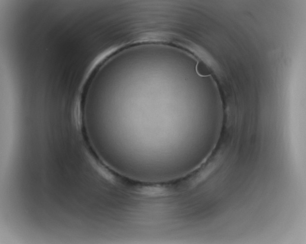 X0000114500838200910191249