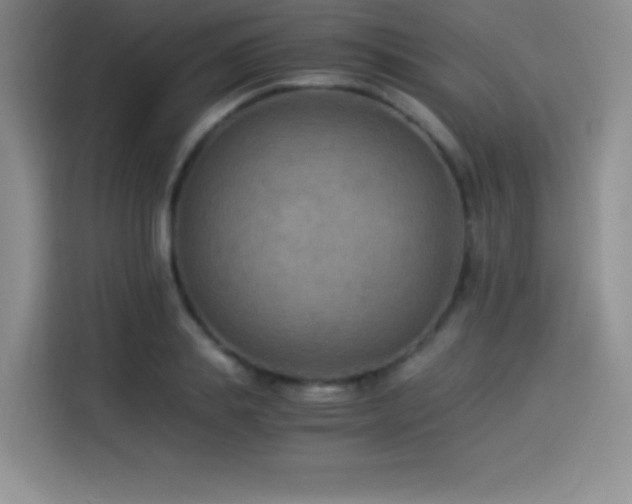 X0000114500839200910191249