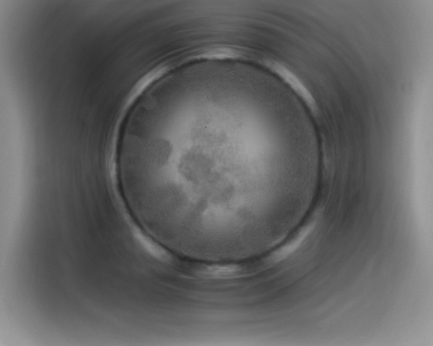 X0000114500845200910191249