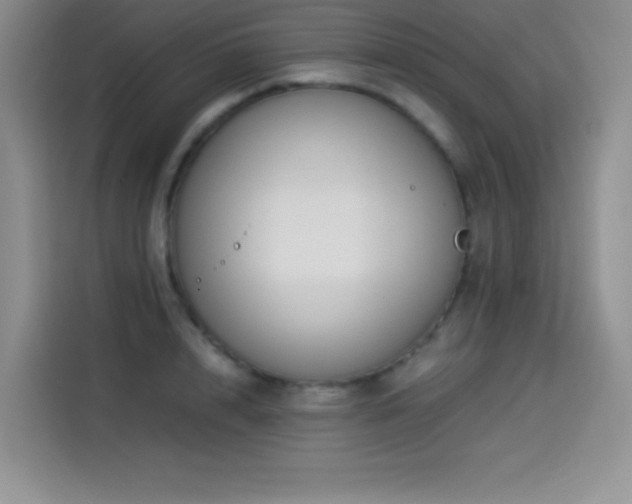 X0000114500848200910191249