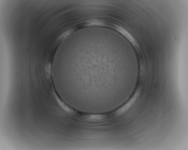 X0000114500849200910191249