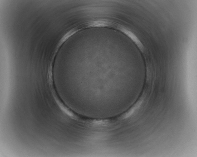 X0000114500850200910191249