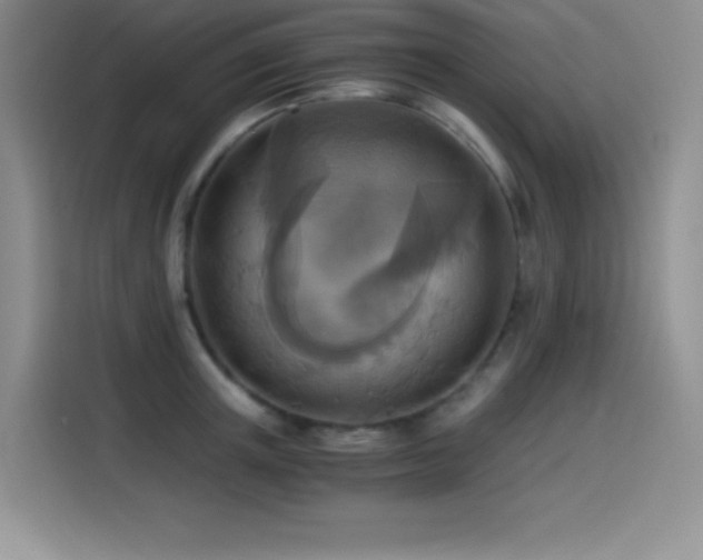 X0000114500851200910191249
