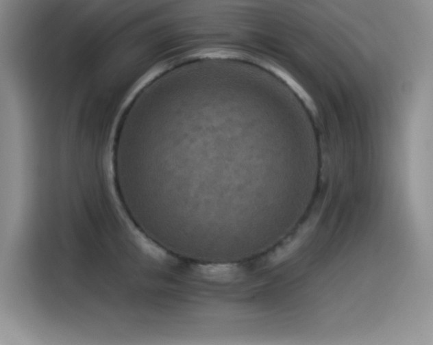 X0000114500853200910191249