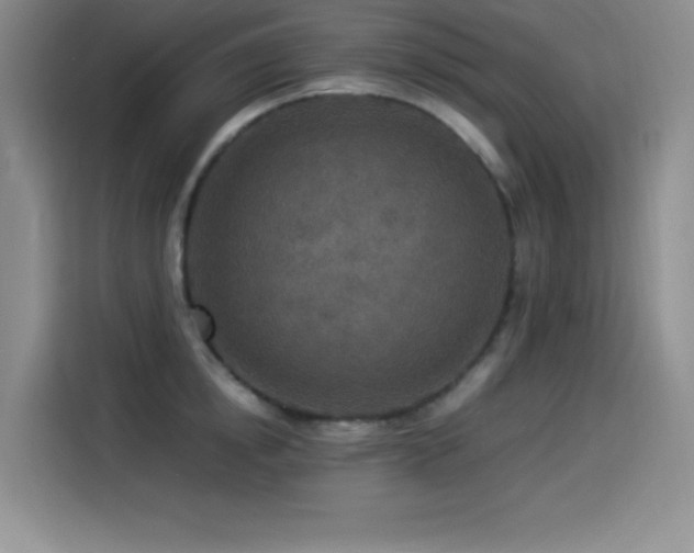 X0000114500854200910191249