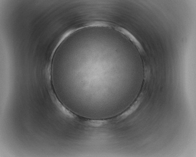 X0000114500860200910191249