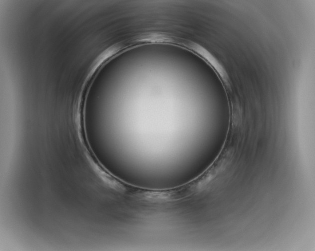 X0000114500861200910191249