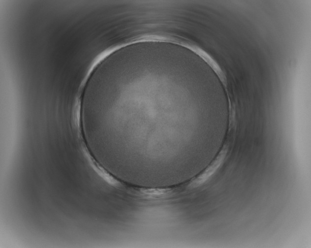 X0000114500862200910191249