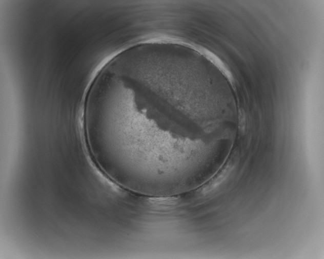 X0000114500863200910191249