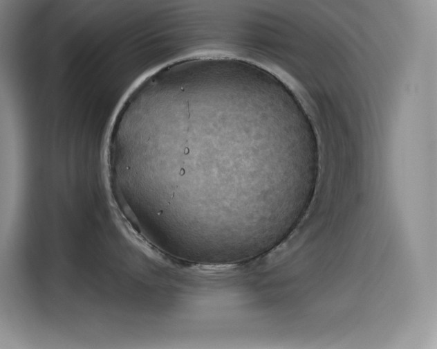 X0000114500864200910191249