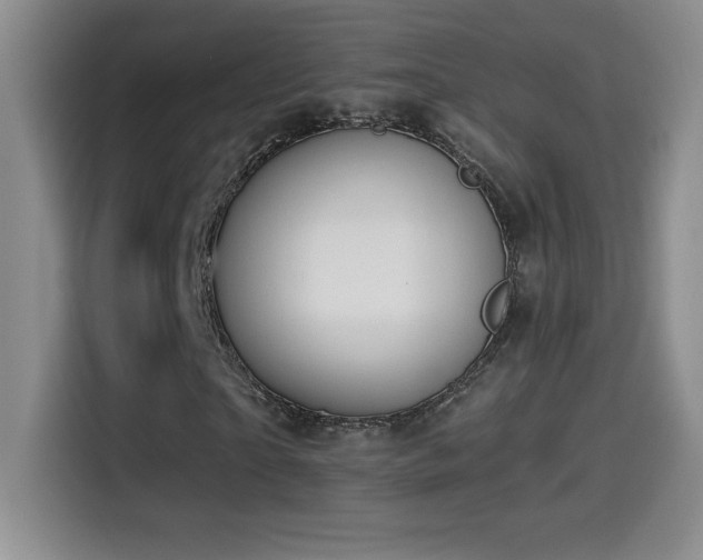 X0000114500865200910191249
