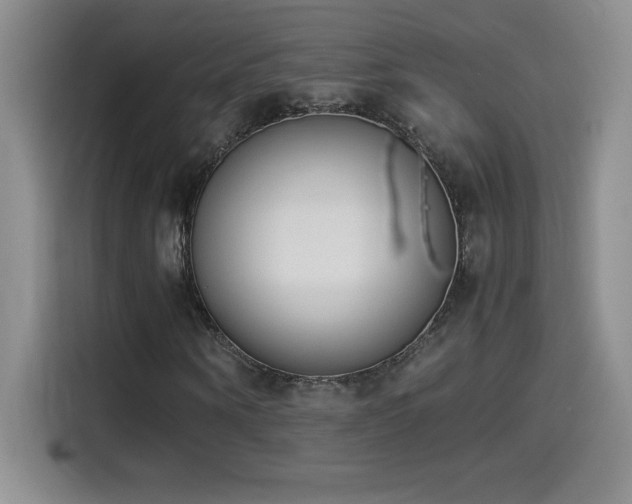 X0000114500866200910191249