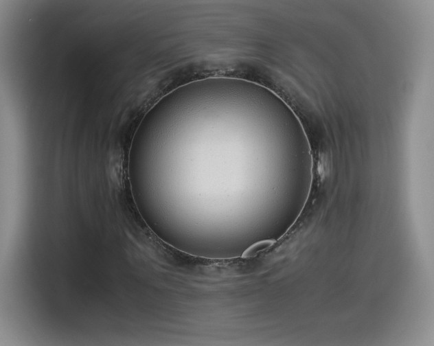 X0000114500867200910191249