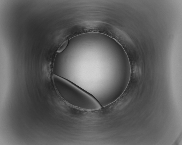 X0000114500868200910191249