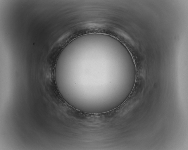 X0000114500869200910191249