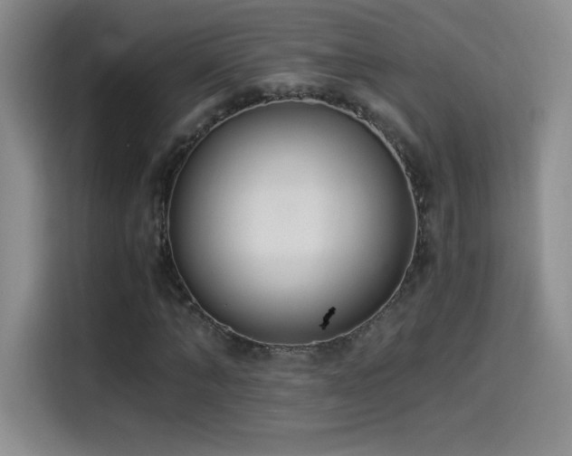 X0000114500870200910191249