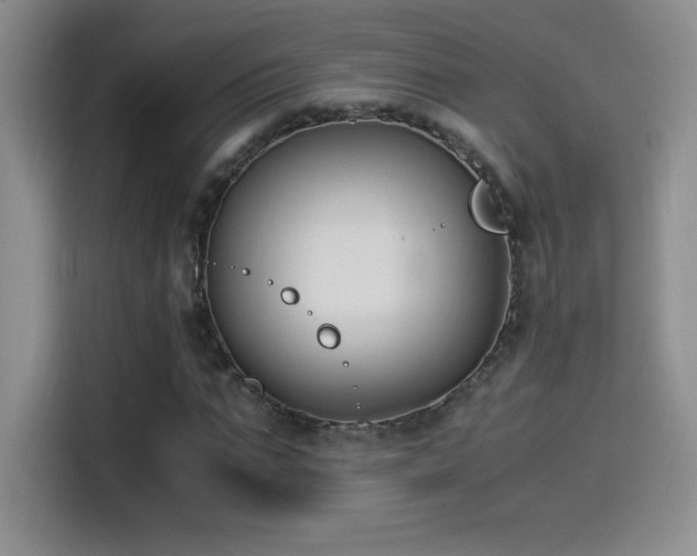 X0000114500871200910191249