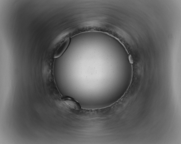 X0000114500872200910191249