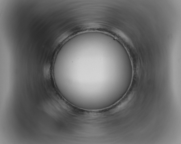 X0000114500873200910191249