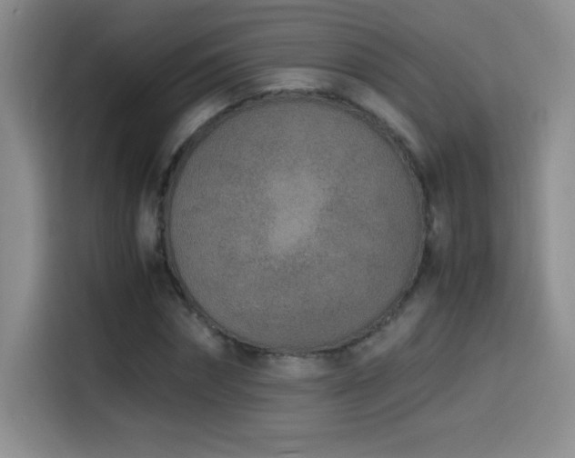 X0000114500874200910191249