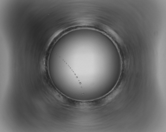 X0000114500875200910191249