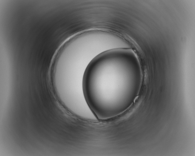 X0000114500876200910191249