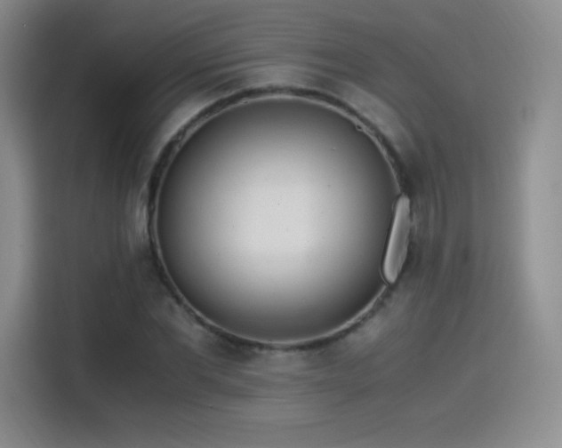 X0000114500877200910191249