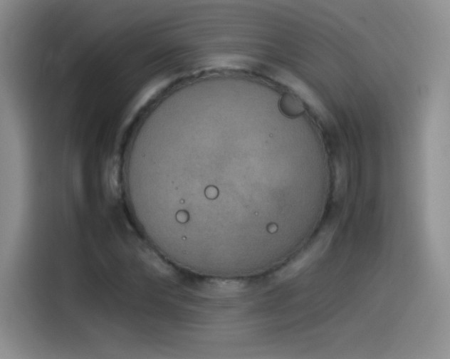 X0000114500878200910191249
