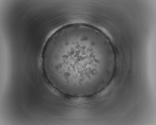 X0000114500879200910191249