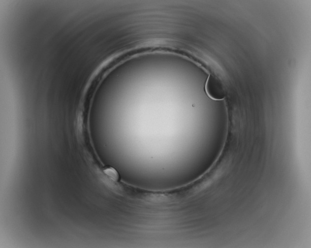 X0000114500880200910191249