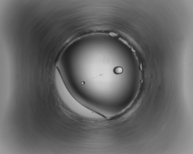 X0000114500881200910191249