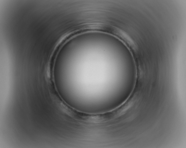 X0000114500883200910191249