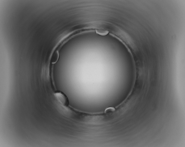 X0000114500884200910191249