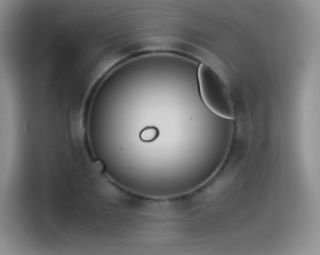 X0000114500885200910191249