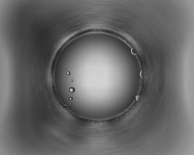 X0000114500887200910191248