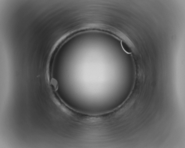 X0000114500888200910191248