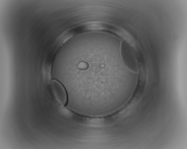 X0000114500889200910191248