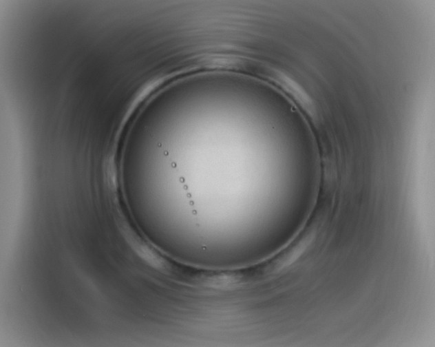 X0000114500891200910191248