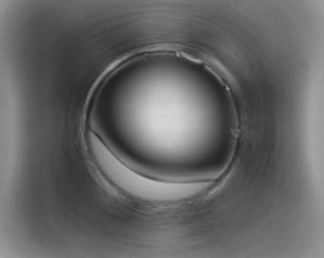 X0000114500892200910191248