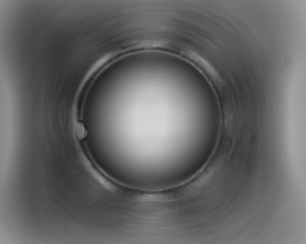 X0000114500894200910191248