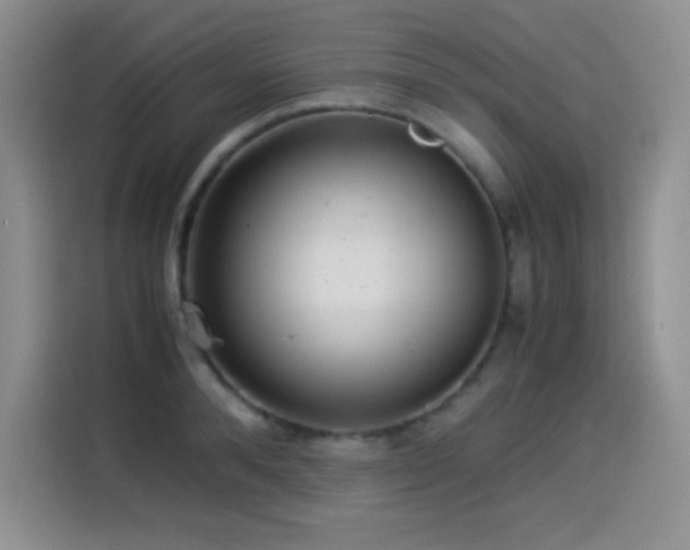 X0000114500896200910191248