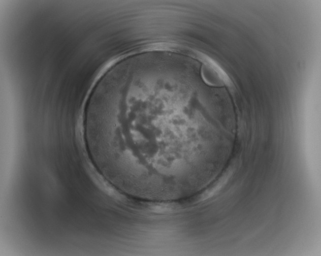 X0000114500899200910191248