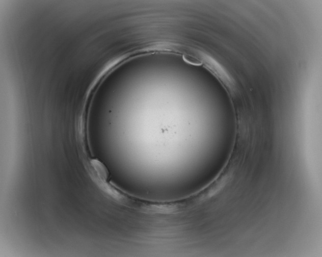 X0000114500900200910191248