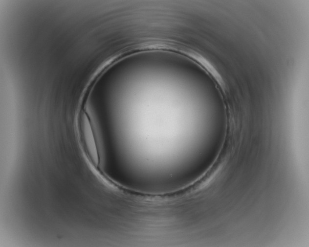 X0000114500901200910191248